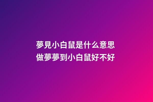 夢見小白鼠是什么意思 做夢夢到小白鼠好不好
